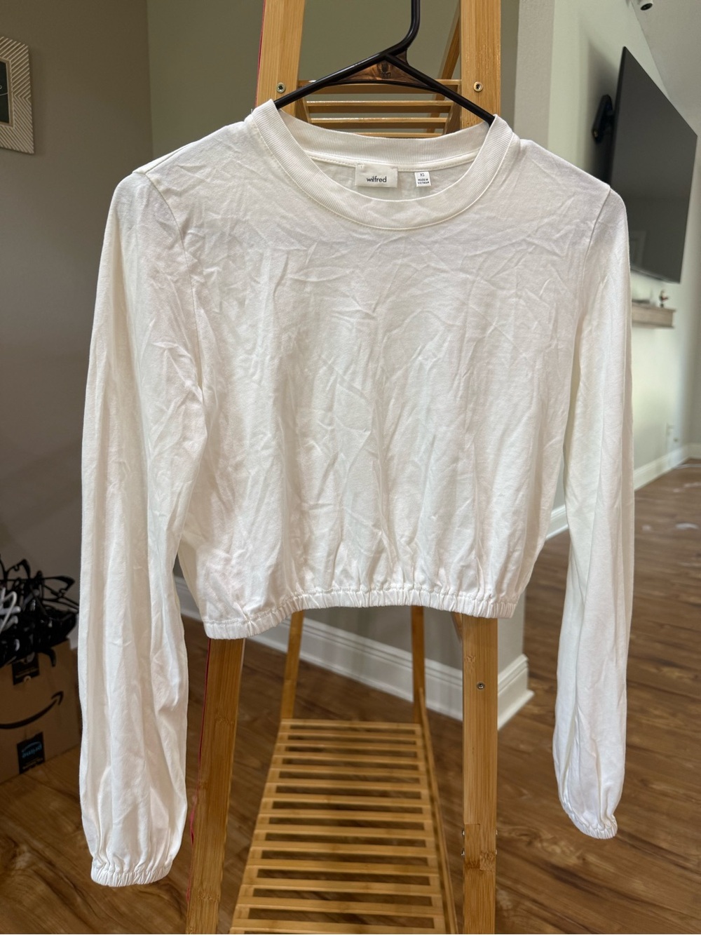 Wilfred Long Sleeve Crop Top, XS